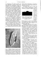 giornale/UM10003065/1936/unico/00000100