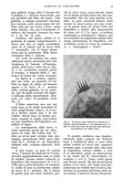 giornale/UM10003065/1936/unico/00000101