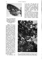 giornale/UM10003065/1936/unico/00000102