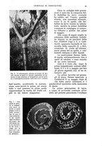 giornale/UM10003065/1936/unico/00000103