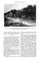giornale/UM10003065/1936/unico/00000107