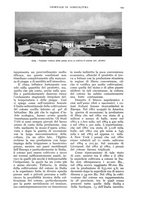 giornale/UM10003065/1936/unico/00000175