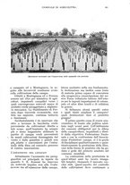 giornale/UM10003065/1936/unico/00000183