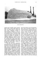 giornale/UM10003065/1936/unico/00000189