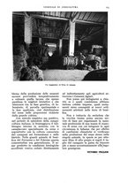 giornale/UM10003065/1936/unico/00000191