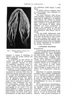 giornale/UM10003065/1936/unico/00000205