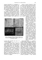 giornale/UM10003065/1936/unico/00000209