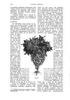 giornale/UM10003065/1936/unico/00000216