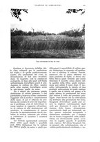 giornale/UM10003065/1936/unico/00000225