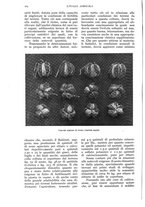 giornale/UM10003065/1936/unico/00000236