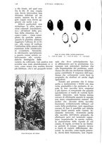 giornale/UM10003065/1936/unico/00000238