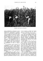 giornale/UM10003065/1936/unico/00000261