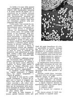 giornale/UM10003065/1936/unico/00000269