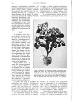 giornale/UM10003065/1936/unico/00000278