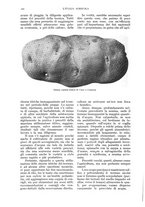 giornale/UM10003065/1936/unico/00000280