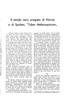 giornale/UM10003065/1936/unico/00000353