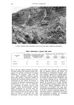 giornale/UM10003065/1936/unico/00000370