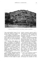 giornale/UM10003065/1936/unico/00000397