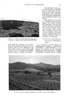 giornale/UM10003065/1936/unico/00000399