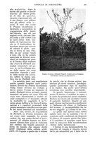 giornale/UM10003065/1936/unico/00000495