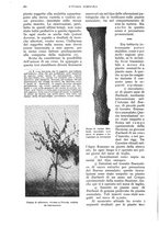 giornale/UM10003065/1936/unico/00000496