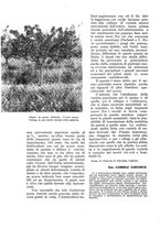 giornale/UM10003065/1936/unico/00000498