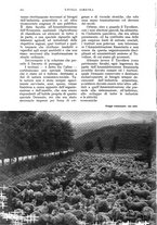 giornale/UM10003065/1936/unico/00000548