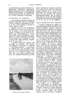giornale/UM10003065/1936/unico/00000550