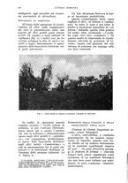 giornale/UM10003065/1936/unico/00000556