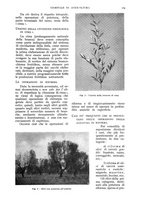 giornale/UM10003065/1936/unico/00000557