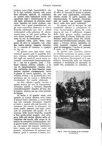 giornale/UM10003065/1936/unico/00000558