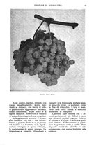 giornale/UM10003065/1937/unico/00000063