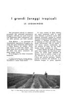 giornale/UM10003065/1937/unico/00000117