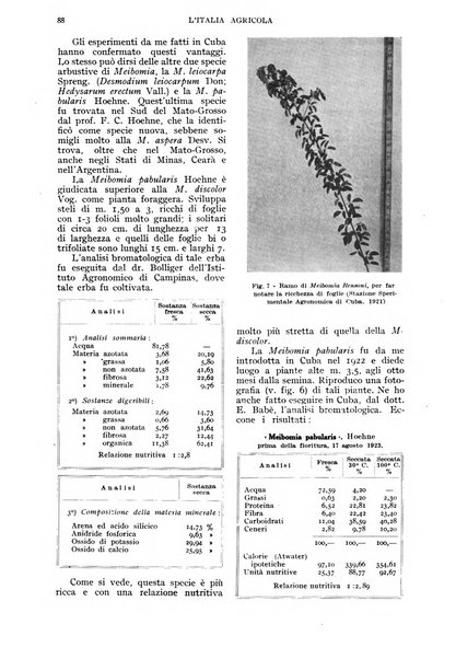 L'Italia agricola