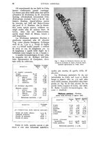 giornale/UM10003065/1937/unico/00000126