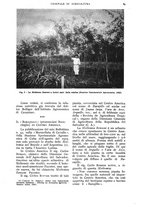 giornale/UM10003065/1937/unico/00000127