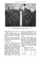 giornale/UM10003065/1937/unico/00000129