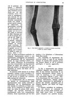 giornale/UM10003065/1937/unico/00000137