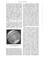giornale/UM10003065/1937/unico/00000138