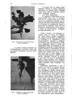 giornale/UM10003065/1937/unico/00000144