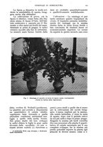 giornale/UM10003065/1937/unico/00000145