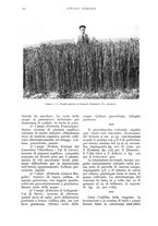 giornale/UM10003065/1937/unico/00000234