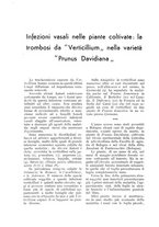 giornale/UM10003065/1937/unico/00000262