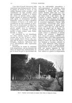 giornale/UM10003065/1937/unico/00000316