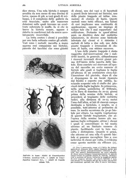 L'Italia agricola