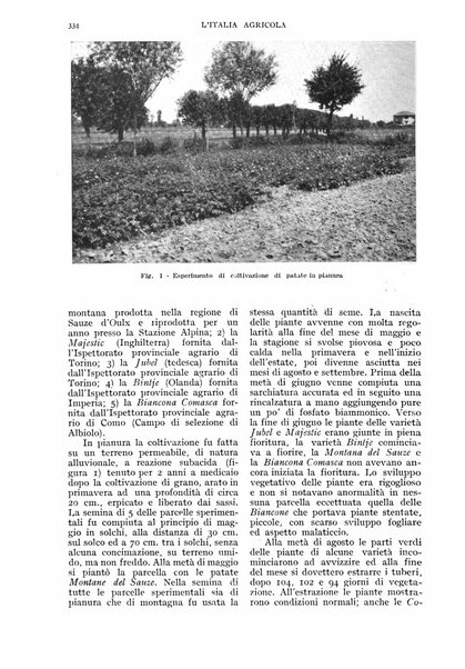 L'Italia agricola