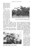 giornale/UM10003065/1937/unico/00000435