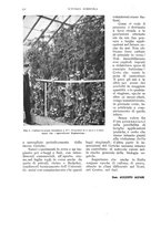 giornale/UM10003065/1937/unico/00000450