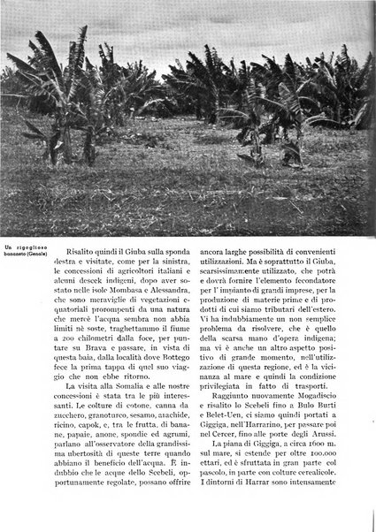 L'Italia agricola