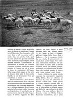 giornale/UM10003065/1937/unico/00000501